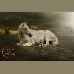 BUNDLE & SAVE! Horses Decoupage Paper value pack! - 3 items for the price of 2. That's 45% Off!