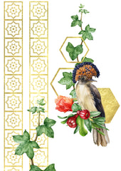 Crested Barbet - Rub on Transfer Furniture and Craft Decal