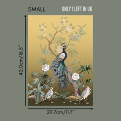 BIRD POSTERS - AUSTRALIA ONLY