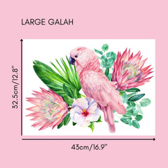 Pink Galah Rub on Transfers - Single images