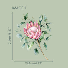 Australian Wildflowers II Proteas Rub on Transfer Furniture & Craft Decals