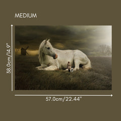 BUNDLE & SAVE! Horses Decoupage Paper value pack! - 3 items for the price of 2. That's 45% Off!