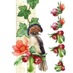 Crested Barbet - Rub on Transfer Furniture and Craft Decal