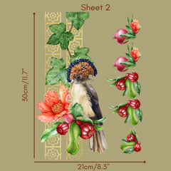 Crested Barbet - Rub on Transfer Furniture and Craft Decal