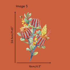 Fiori di campo australiani I Banksia Strofina su mobili trasferibili e decalcomanie artigianali