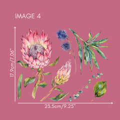 Proteas Australian Wildflowers II strofinare su mobili trasferibili e decalcomanie artigianali
