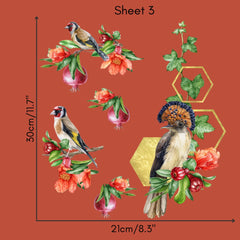 Crested Barbet - Rub on Transfer Furniture and Craft Decal