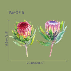 Proteas de flores silvestres australianas II frotan en muebles de transferencia y calcomanías artesanales