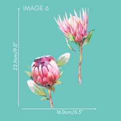 Australian Wildflowers II Proteas Rub on Transfer Furniture & Craft Decals