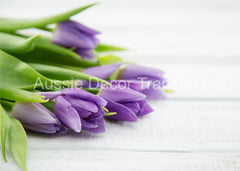 FLORAL POSTER PRINTS - AUSTRALIA ONLY