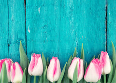 FLORAL POSTER PRINTS - AUSTRALIA ONLY