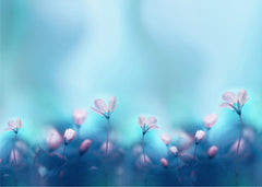 FLORAL POSTER PRINTS - AUSTRALIA ONLY