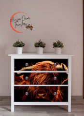 Big Red Angus - Not Your Average Poster Print